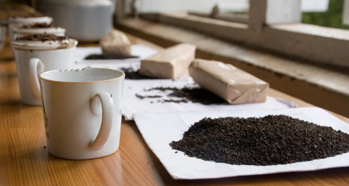 All about Orange Pekoe Tea